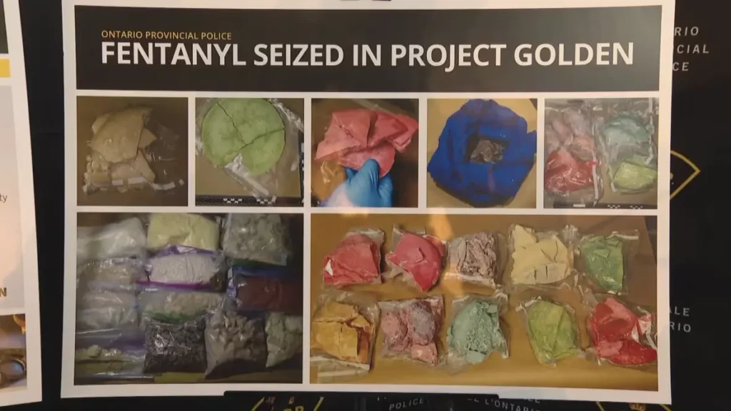加拿大安大略省警方发起“仿生计划”与“黄金计划”执法行动,捣毁暗网毒品交易市场