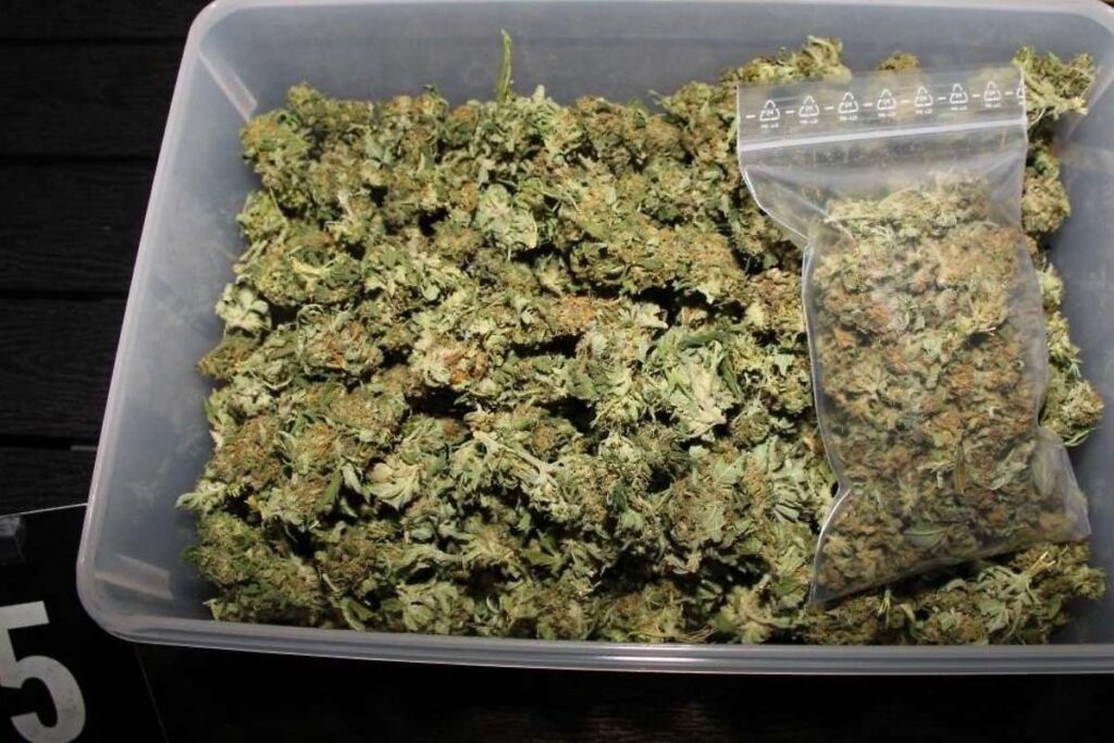 暗网中的毒品:作为麦片发送